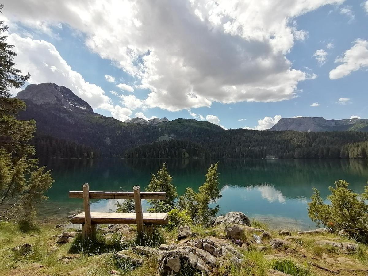 Monte Pino Lux Apartments Žabljak Dış mekan fotoğraf