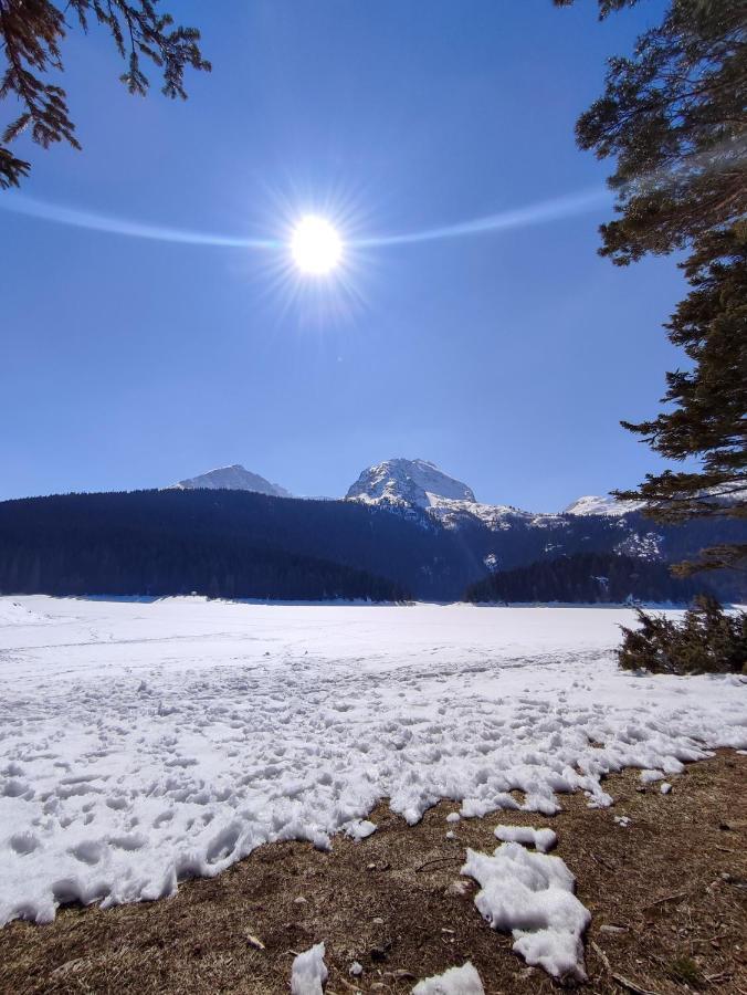 Monte Pino Lux Apartments Žabljak Dış mekan fotoğraf
